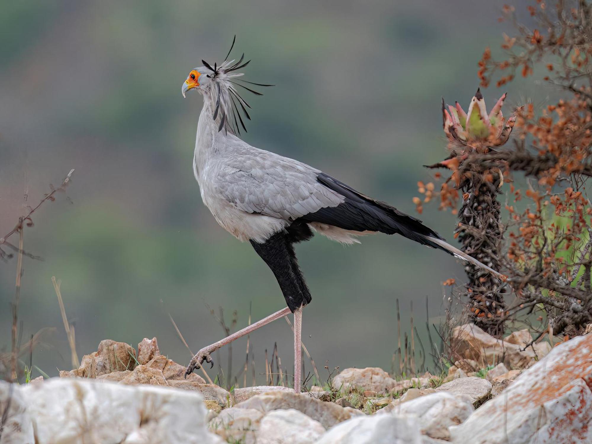 Valley Lodge - Babanango Game Reserve Νταντί Εξωτερικό φωτογραφία