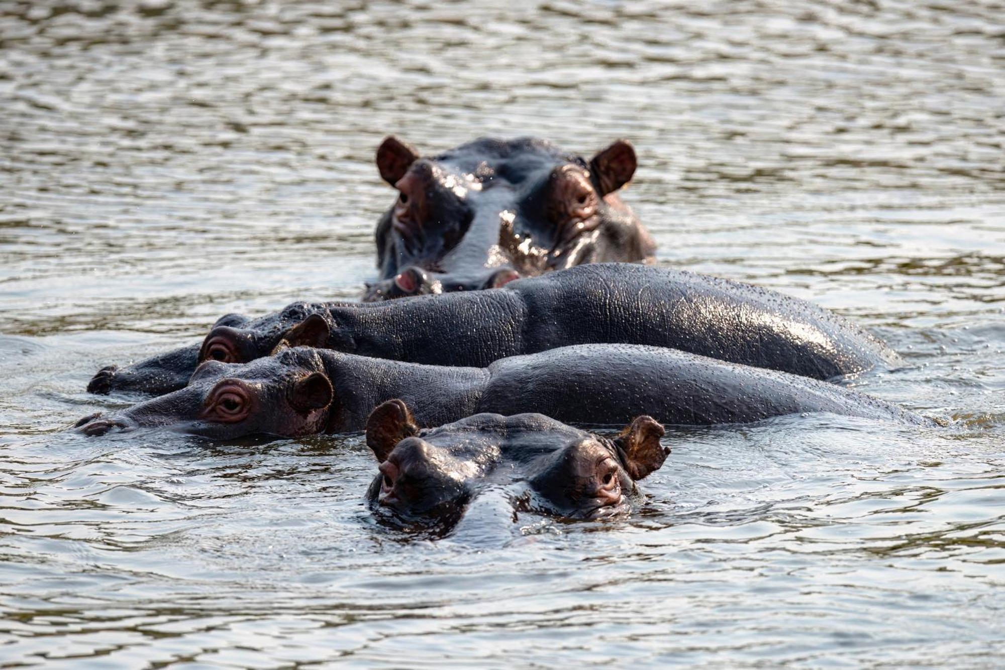 Valley Lodge - Babanango Game Reserve Νταντί Εξωτερικό φωτογραφία